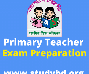 Primary teacher exam preparation